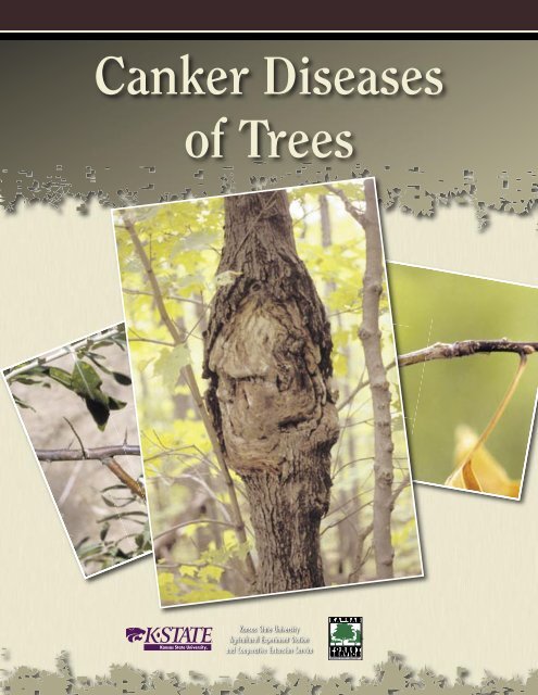 MF2658 Canker Diseases of Trees - Kansas State University