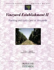 Vineyard Establishment II: Planting & Early Care of Vineyards