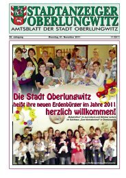 Stadtanzeiger November 2011 - in der Stadt Oberlungwitz