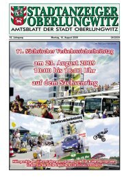 Stadtanzeiger August 2009 - in der Stadt Oberlungwitz