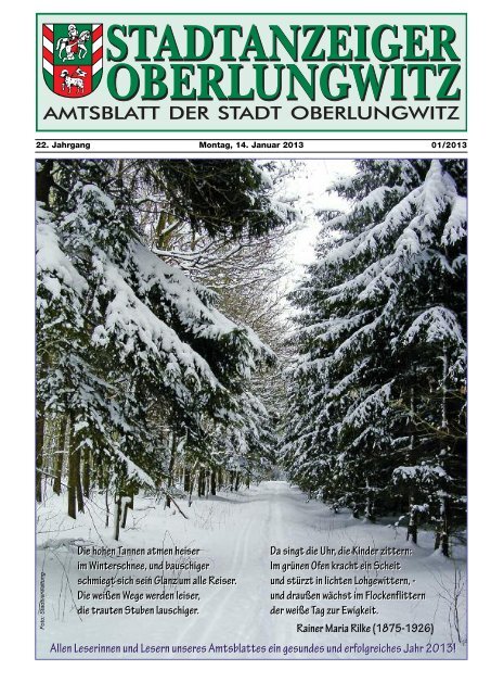Stadtanzeiger Januar 2013 - in der Stadt Oberlungwitz