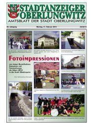 Stadtanzeiger Februar 2013 - in der Stadt Oberlungwitz