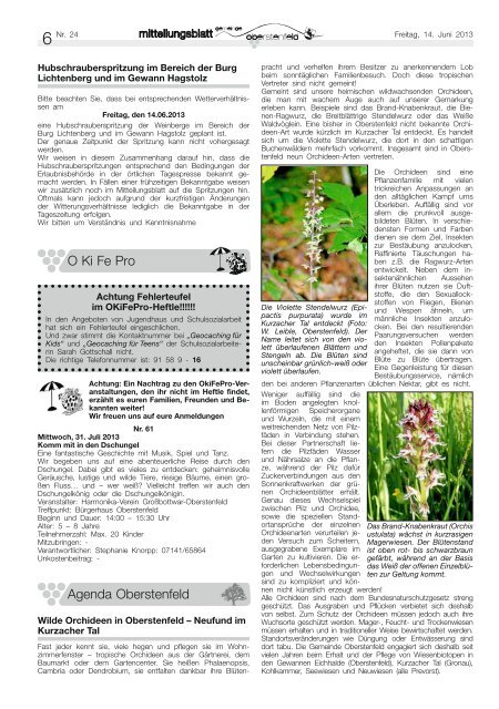 Mitteilungsblatt der aktuellen Woche - Gemeinde Oberstenfeld