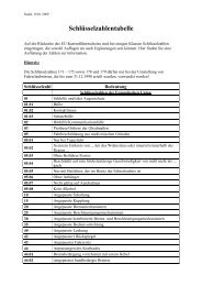 Informationsblatt Uber Die Schlusselzahlen Im Fuhrerschein