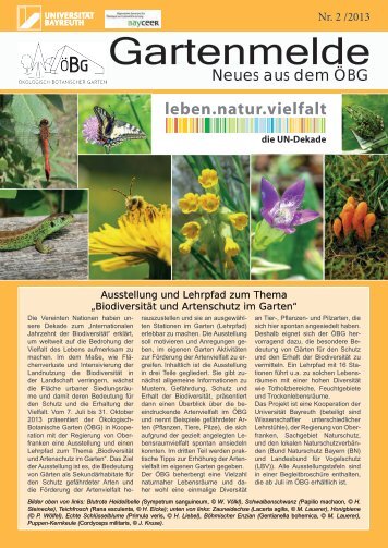 Gartenmelde - Ã–kologisch-Botanischer Garten - UniversitÃ¤t Bayreuth
