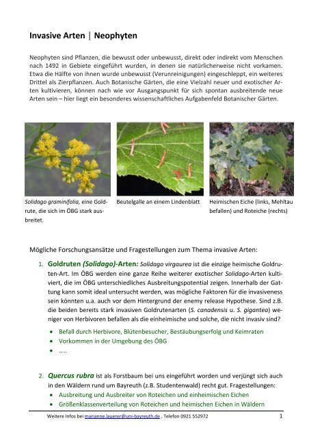 Invasive Arten Neophyten A Kologisch Botanischer Garten