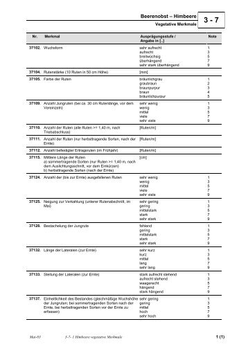 1 Himbeere vegetative Merkmale.pdf - Obstbau