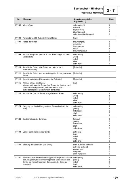 1 Himbeere vegetative Merkmale.pdf - Obstbau