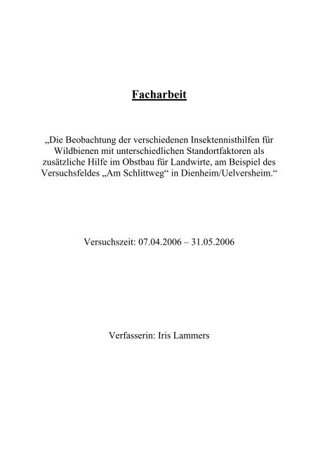 Beispiel Für Einleitung Einer Facharbeit facharbeit beispiel pdl