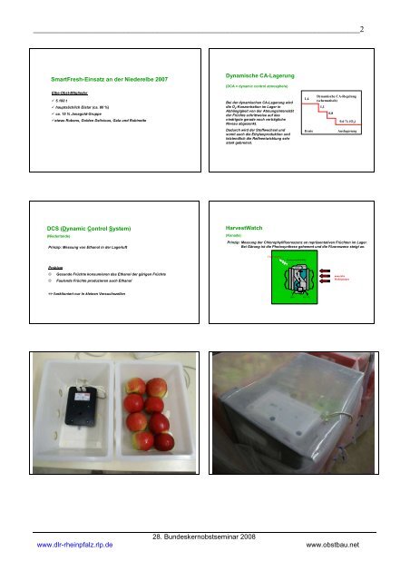 Seminarheft Kernobst zur Bearbeitung 1 - Obstbau