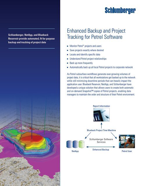 Petrel, NetApp, Blueback - Ocean - Schlumberger