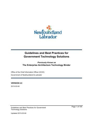 Guidelines and Best Practices for Government Technology Solutions