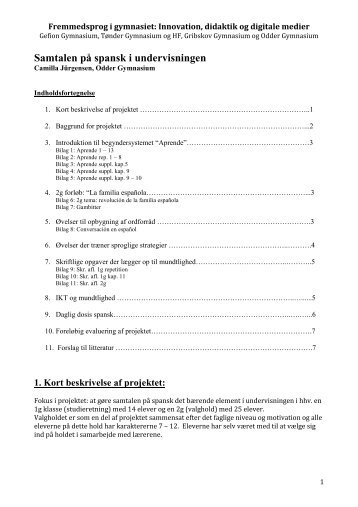 Samtalen pÃ¥ spansk i undervisningen - Odder Gymnasium