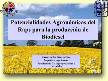 Potencialidades AgronÃ³micas del Raps para la producciÃ³n ... - Odepa