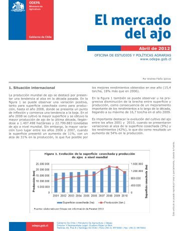 El mercado del ajo - Odepa