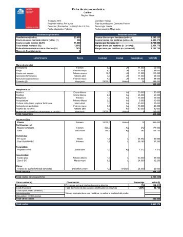 Ficha de la coliflor RegiÃ³n del Maule 2013.pdf - Odepa