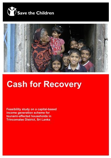 Feasibility study on a capital-based income generation scheme for ...