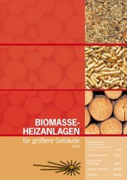 Biomasse-Heizanlagen für größere Gebäude - OÖ ...