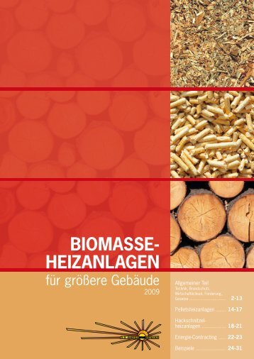 Biomasse-Heizanlagen für größere Gebäude - OÖ ...