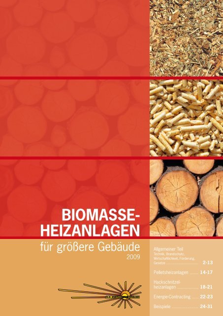 Biomasse-Heizanlagen für größere Gebäude - OÖ ...