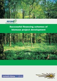 Successful financing schemes of biomass project development