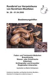 Pdf-Datei hier laden - Herpetofauna von Nordrhein-Westfalen