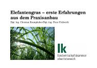 Elefantengras â erste Erfahrungen aus dem Praxisanbau