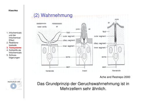 Infochemicals - Oekotoxzentrum