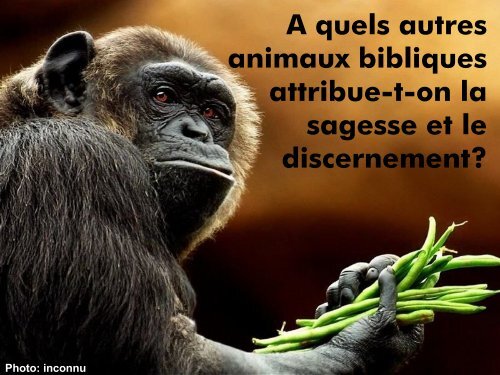 Quizz "Bible et Nature" (PDF, 7MB)