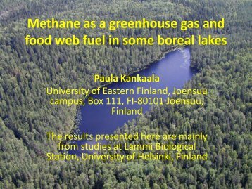 Methane as a greenhouse gas and food web fuel in some boreal lakes