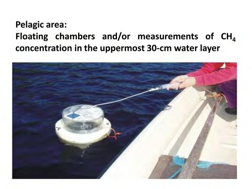 Methane as a greenhouse gas and food web fuel in some boreal lakes