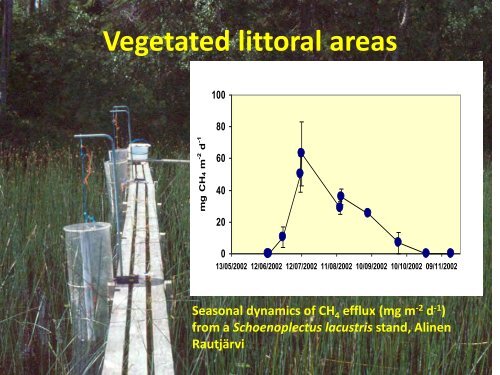 Methane as a greenhouse gas and food web fuel in some boreal lakes