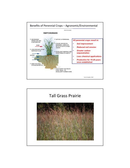 Biomass Working Group Needs - Ontario Federation of Agriculture