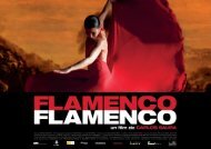 Flamenco Flamenco