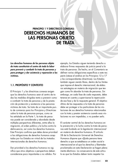 Principios y directrices recomendados sobre Derechos Humanos y