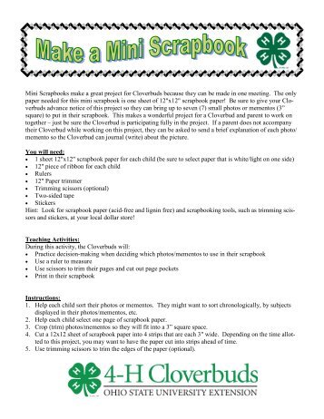 Make a mini scrapbook - Ohio State 4-H