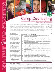Camp Counseling Project Idea Starter - Ohio State 4-H