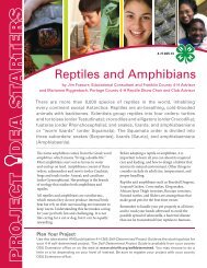 Reptiles and Amphibians Project Idea Starter - Ohio State 4-H
