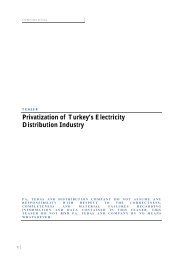 Privatization of Turkey's Electricity Distribution Industry