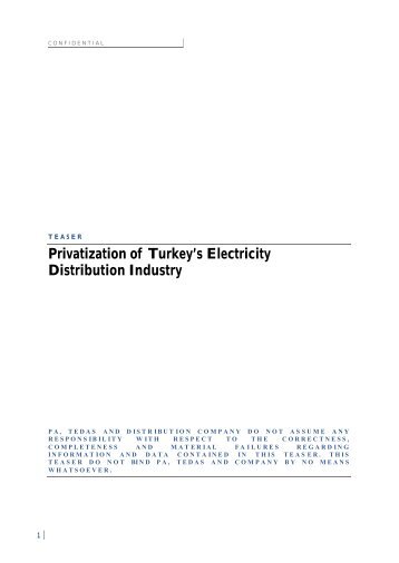 Privatization of Turkey's Electricity Distribution Industry