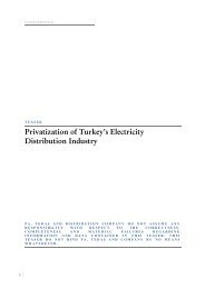 Privatization of Turkey's Electricity Distribution Industry