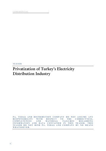 Privatization of Turkey's Electricity Distribution Industry