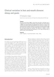 Clinical variation in foot and mouth disease: sheep and goats