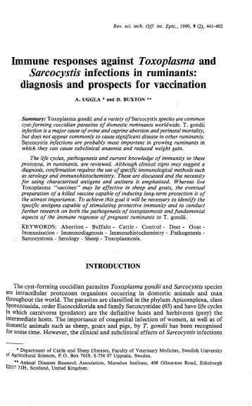 Immune responses against Toxoplasma and Sarcocystis ... - OIE