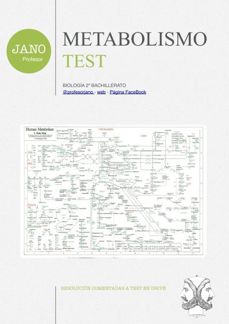 TEST METABOLISMO: REPASO