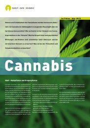 Fokus Cannabis - Rauchfreie Lehre