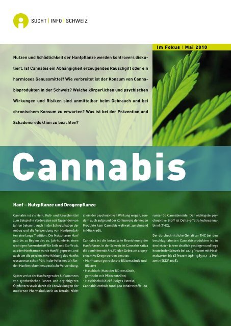 Fokus Cannabis - Rauchfreie Lehre