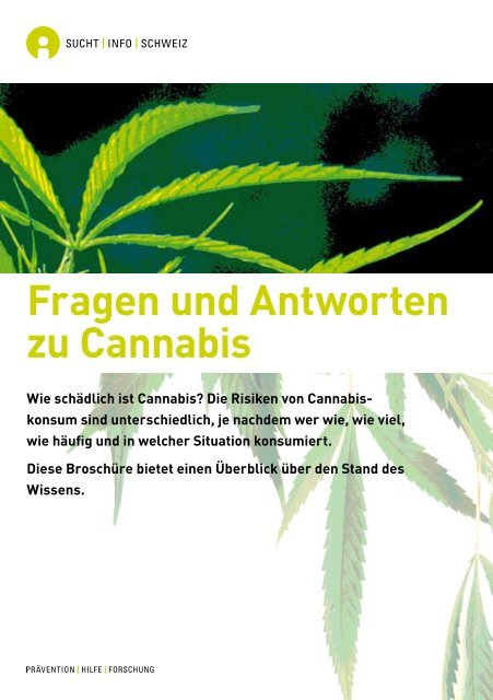 Fragen und Antworten zu Cannabis - okaj