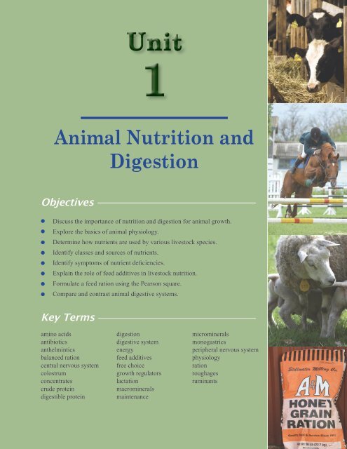 Animal Nutrition and Digestion (PDF file, 5.95 MB)