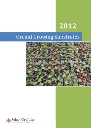 Orchid Growing Substrates